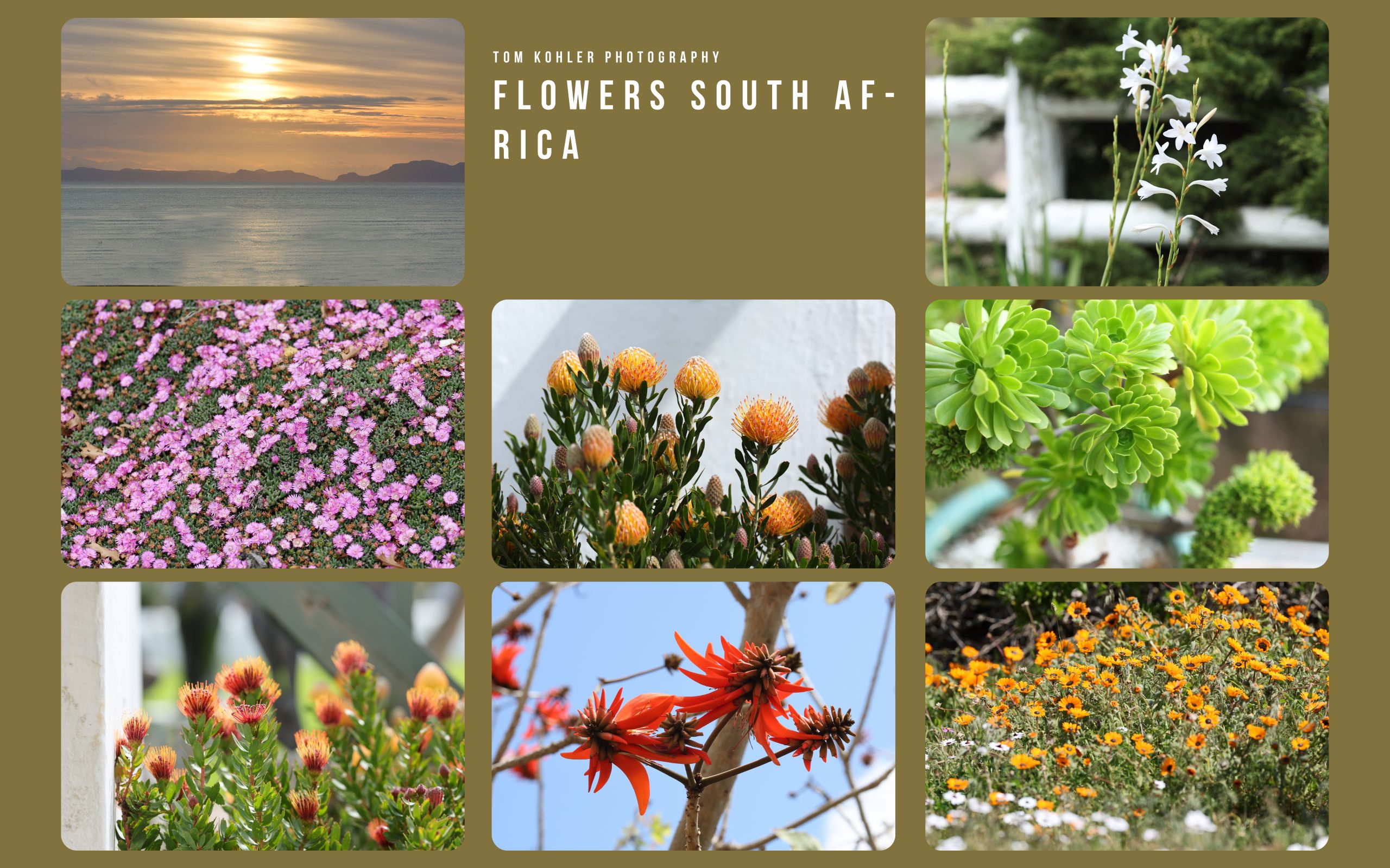 Destinations_SouthAfrica_2