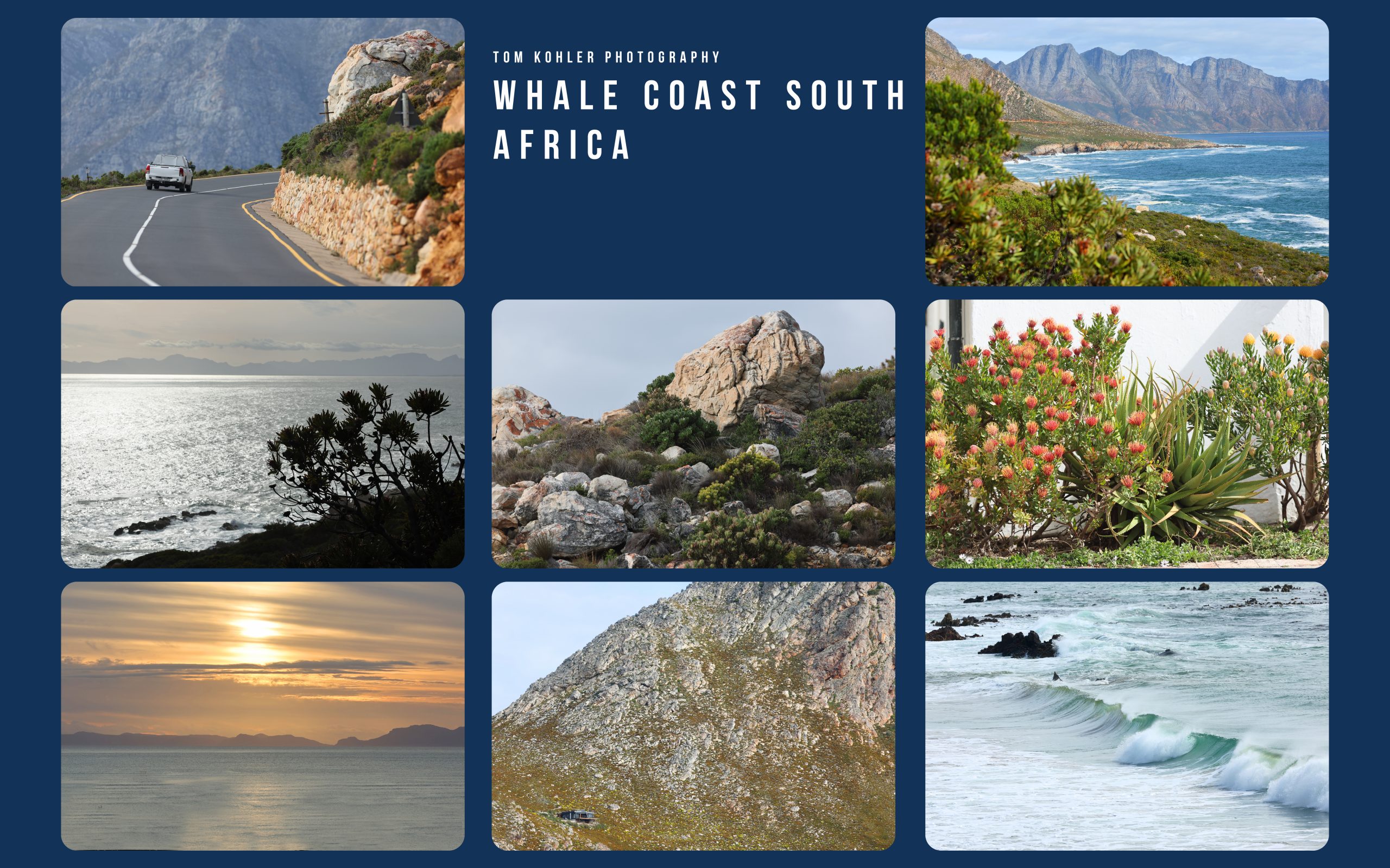 Destinations_Whalecoast1